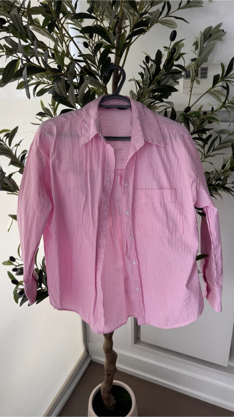 Zara Pink Striped Button-Up Shirt