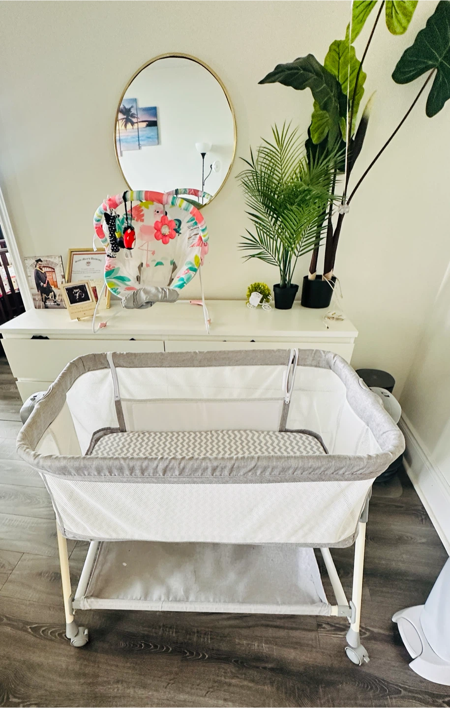 Baby Bassinet with Wheels