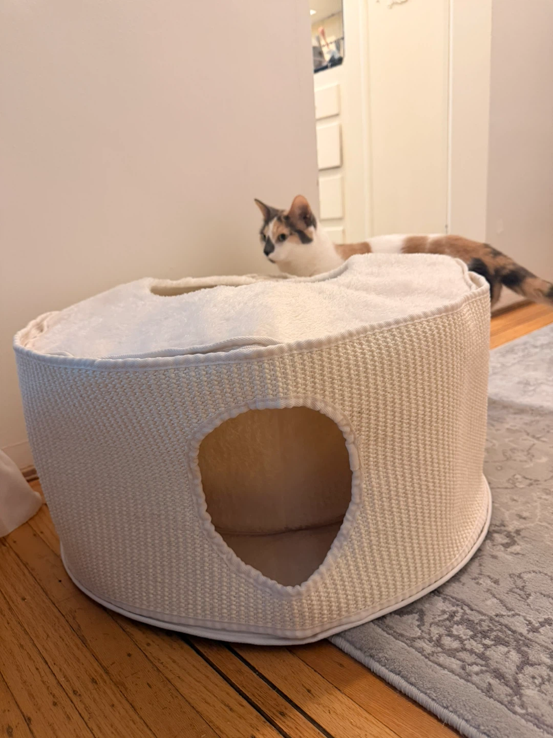 Brand new, just out of box Multifunctional Cat Bed and Mazd