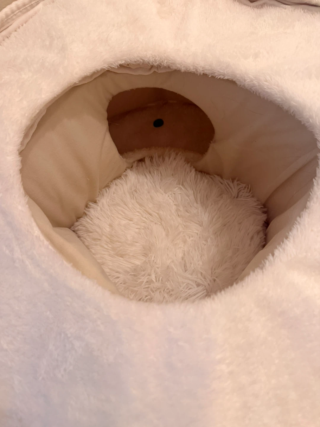 Brand new, just out of box Multifunctional Cat Bed and Mazd - photo 5