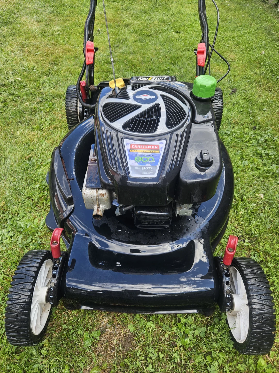 Craftsman Pro Self-Propelled Lawnmower