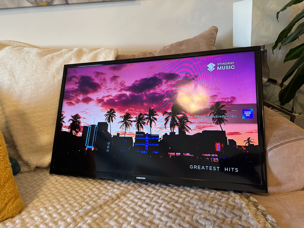 Samsung Smart TV (32 inch)