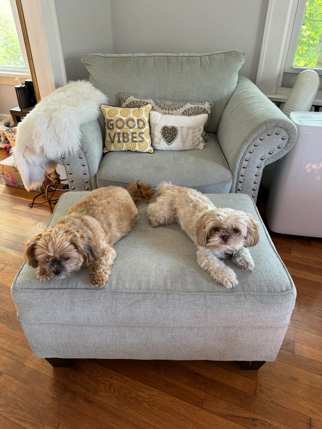 Light Blue Accent Chair with Ottoman