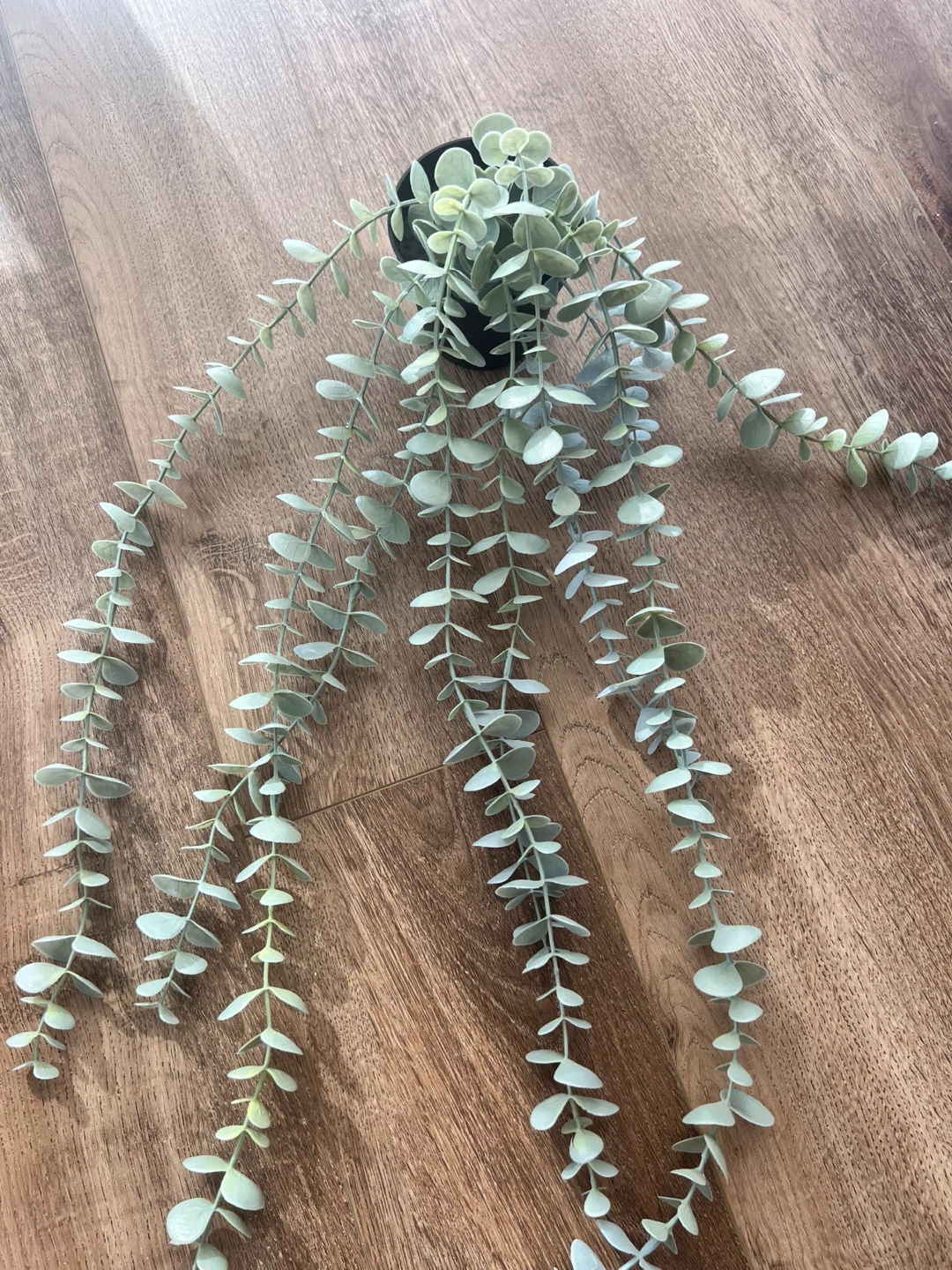 2 Ikea FEJKA Artificial Plants