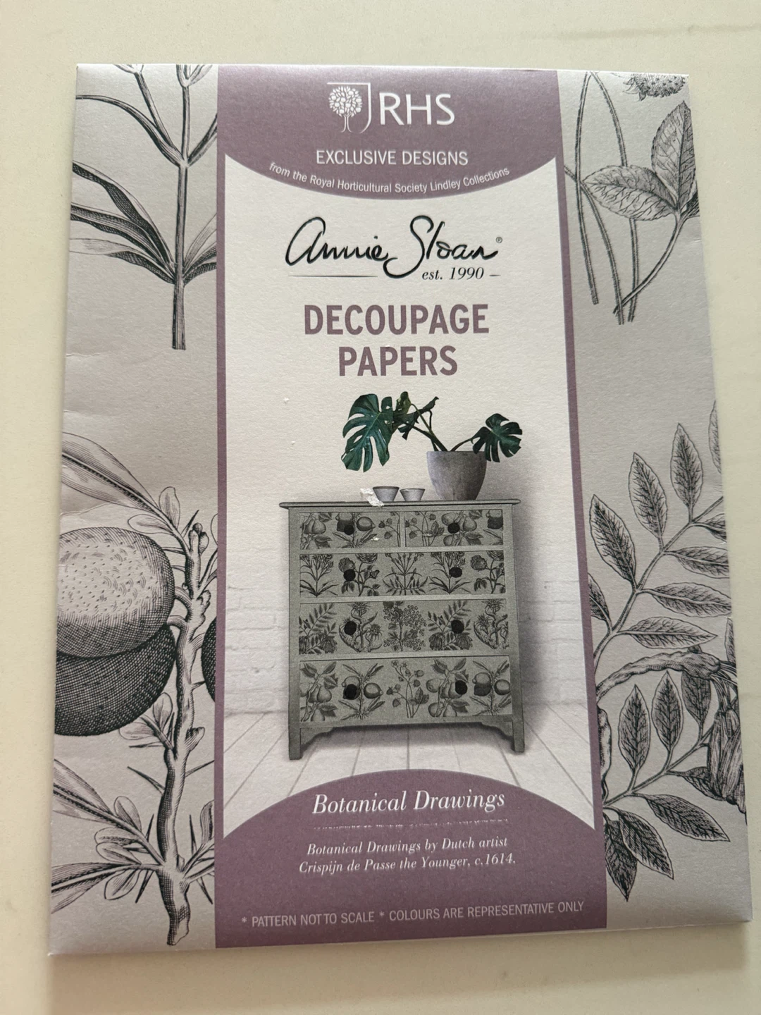Annie Sloan Botanical Drawings Decoupage Paper – NEW