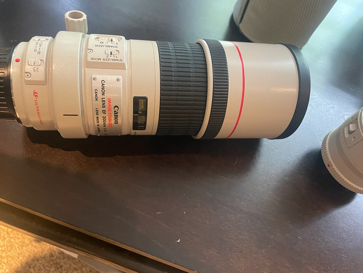 Canon EF 300mm f/4L IS USM Lens with Case