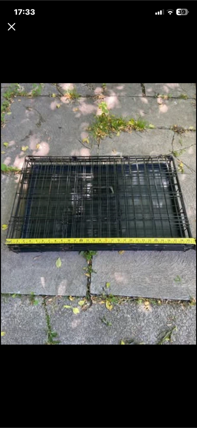Black Dog Crate with Tray