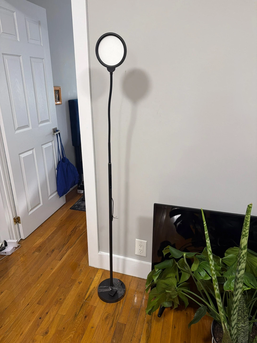 Ring Light Floor Lamp with Remote - photo 3