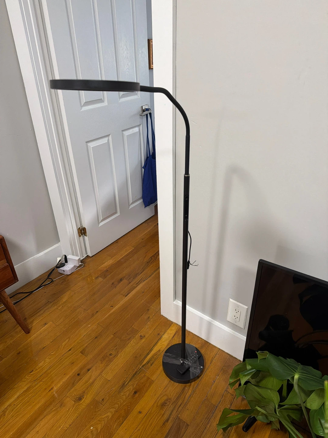 Ring Light Floor Lamp with Remote - photo 4
