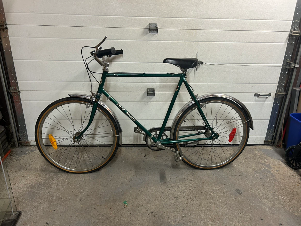Free Spirit 3-Speed Bicycle