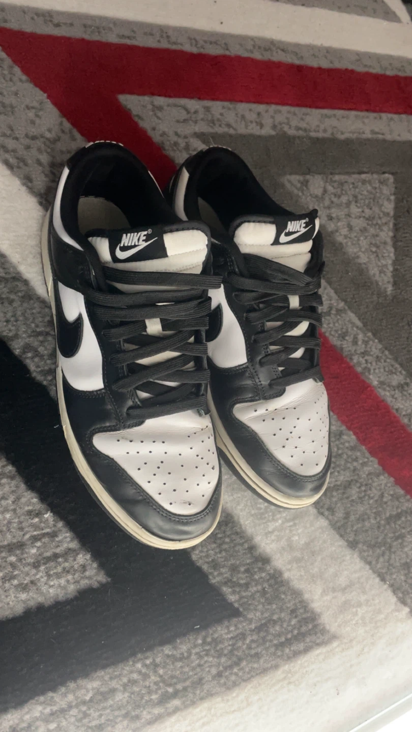Nike Dunk Low