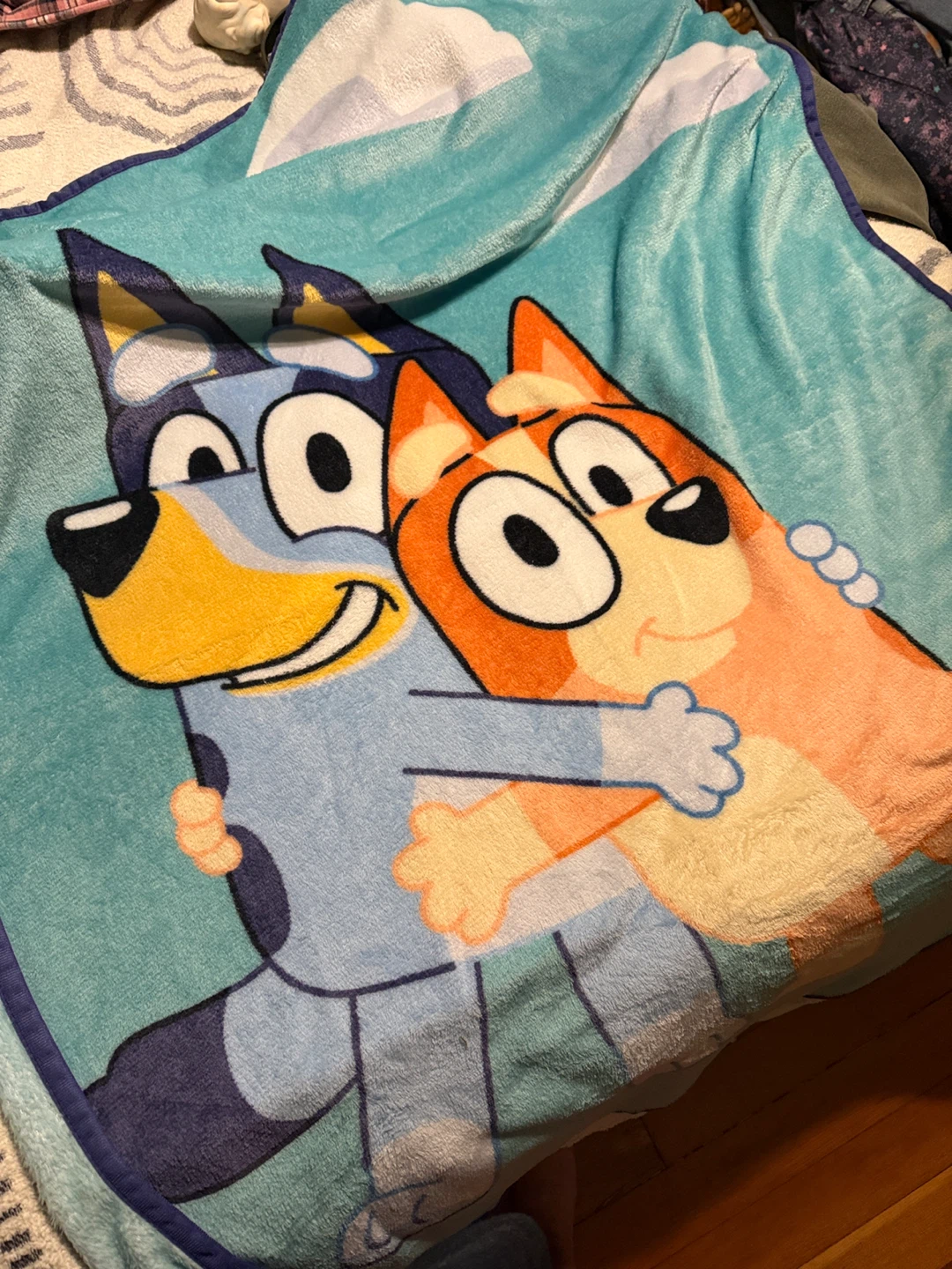 Bluey and Bingo Fleece Kids sized Throw Blanket