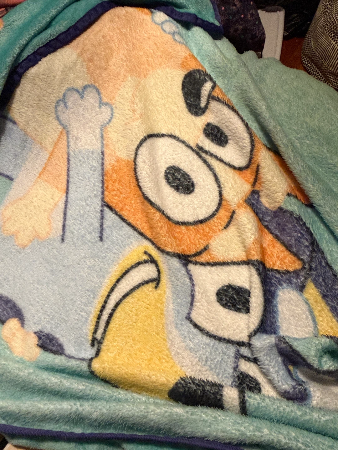 Bluey and Bingo Fleece Kids sized Throw Blanket - photo 3