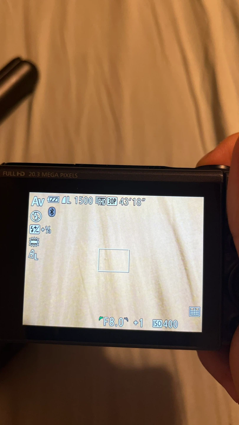Canon PowerShot SX730 HS Digital Camera - photo 4