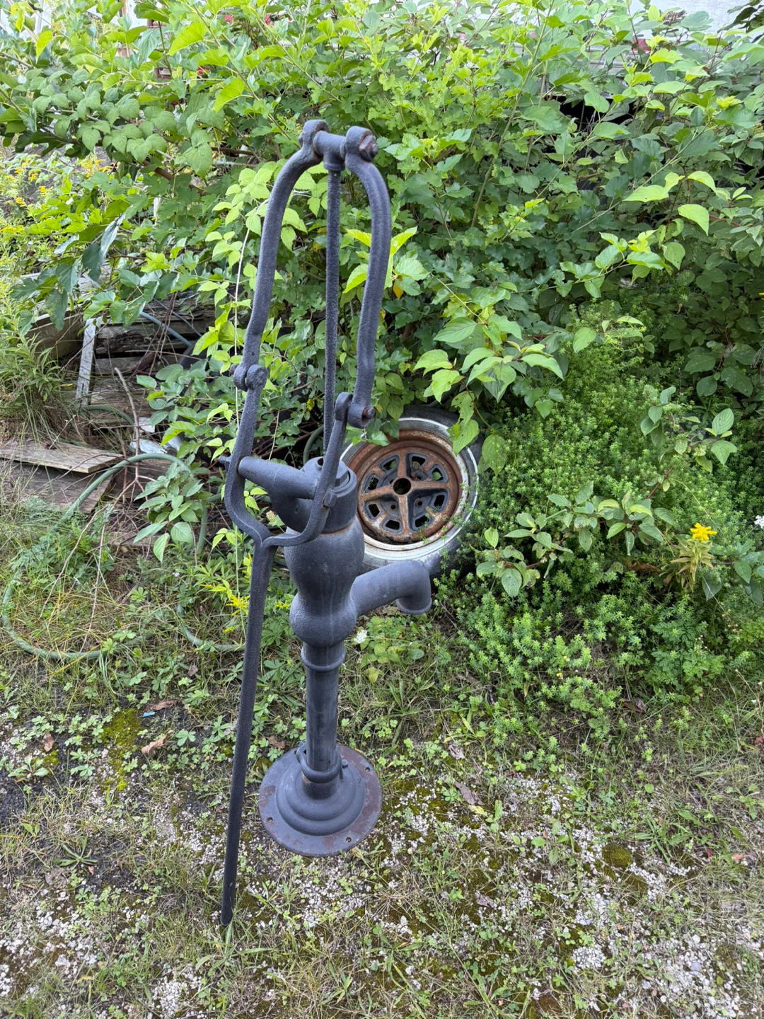 Vintage Cast Iron Hand Water Pump - photo 2