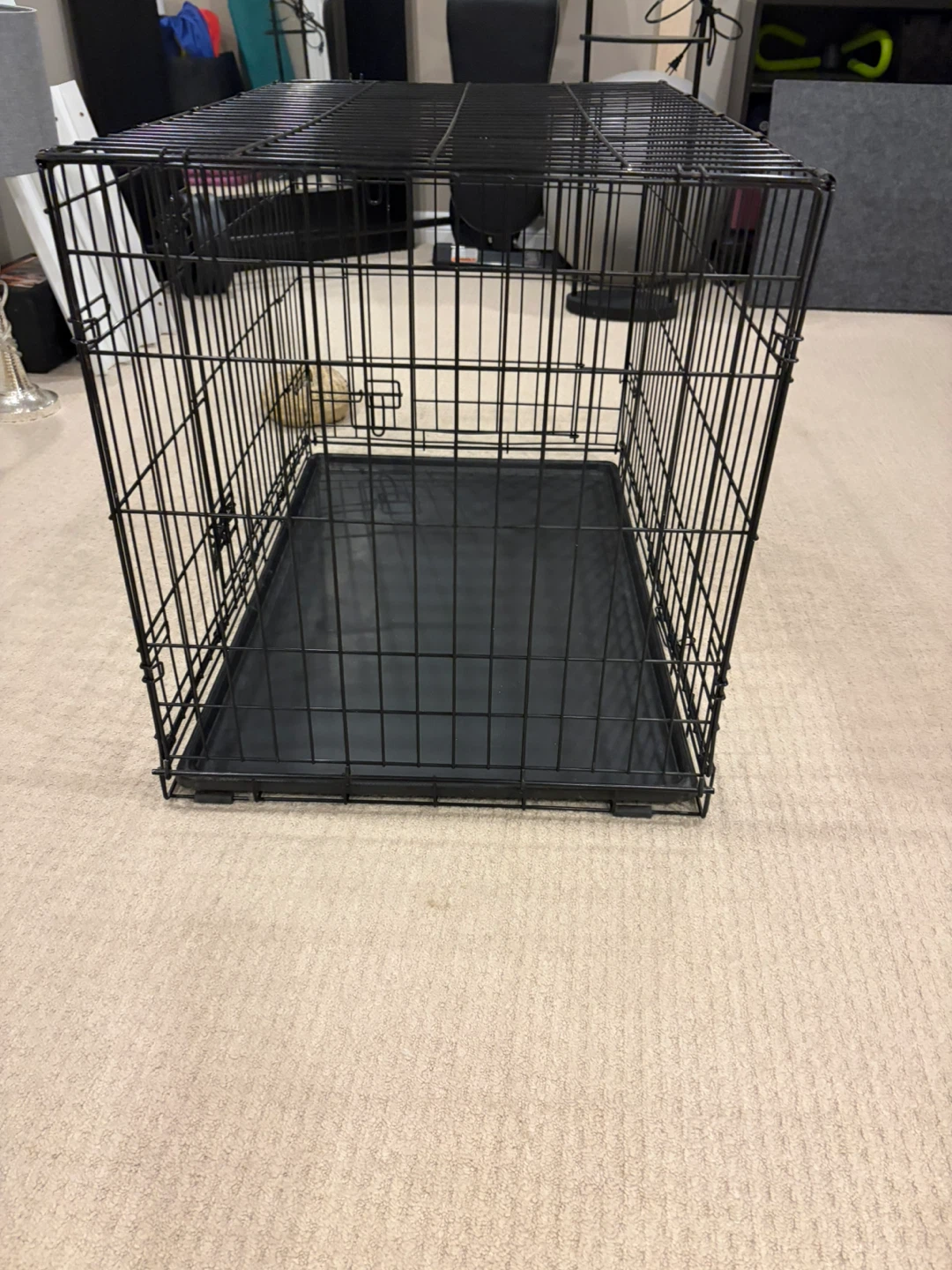 MidWest Homes for Pets iCrate Dog Crate
