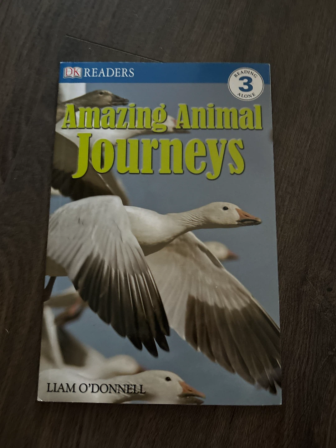 Amazing Animal Journeys Kids Book