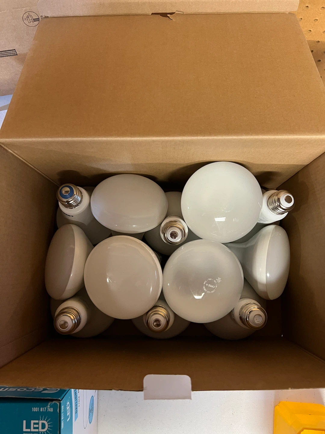 Indoor Flood Light LED Bulbs - photo 5