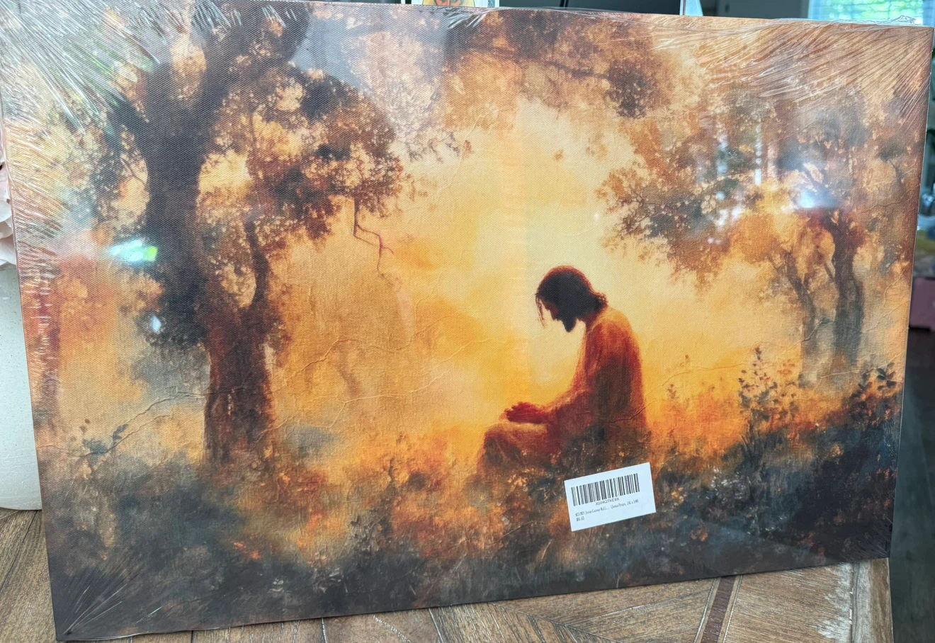 Jesus in Nature Canvas Print  16x24 - photo 3
