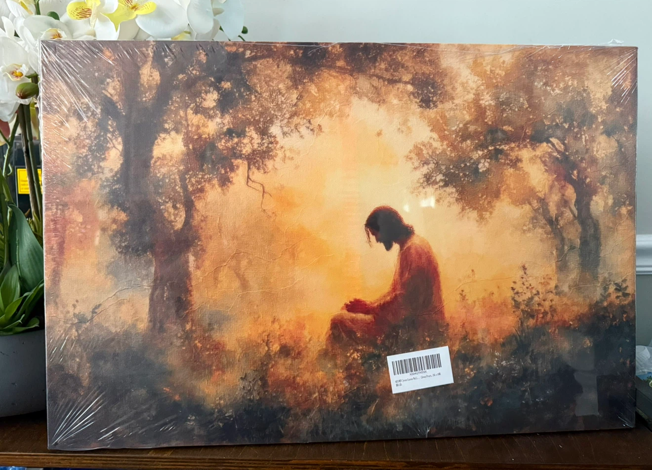 Jesus in Nature Canvas Print  16x24 - photo 4