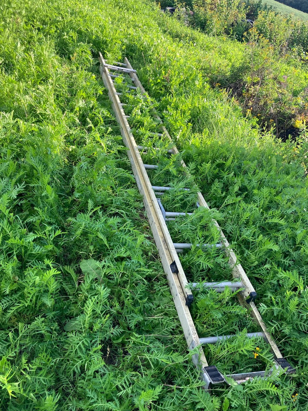 25ft Fiberglass Featherlite Extending Ladder
