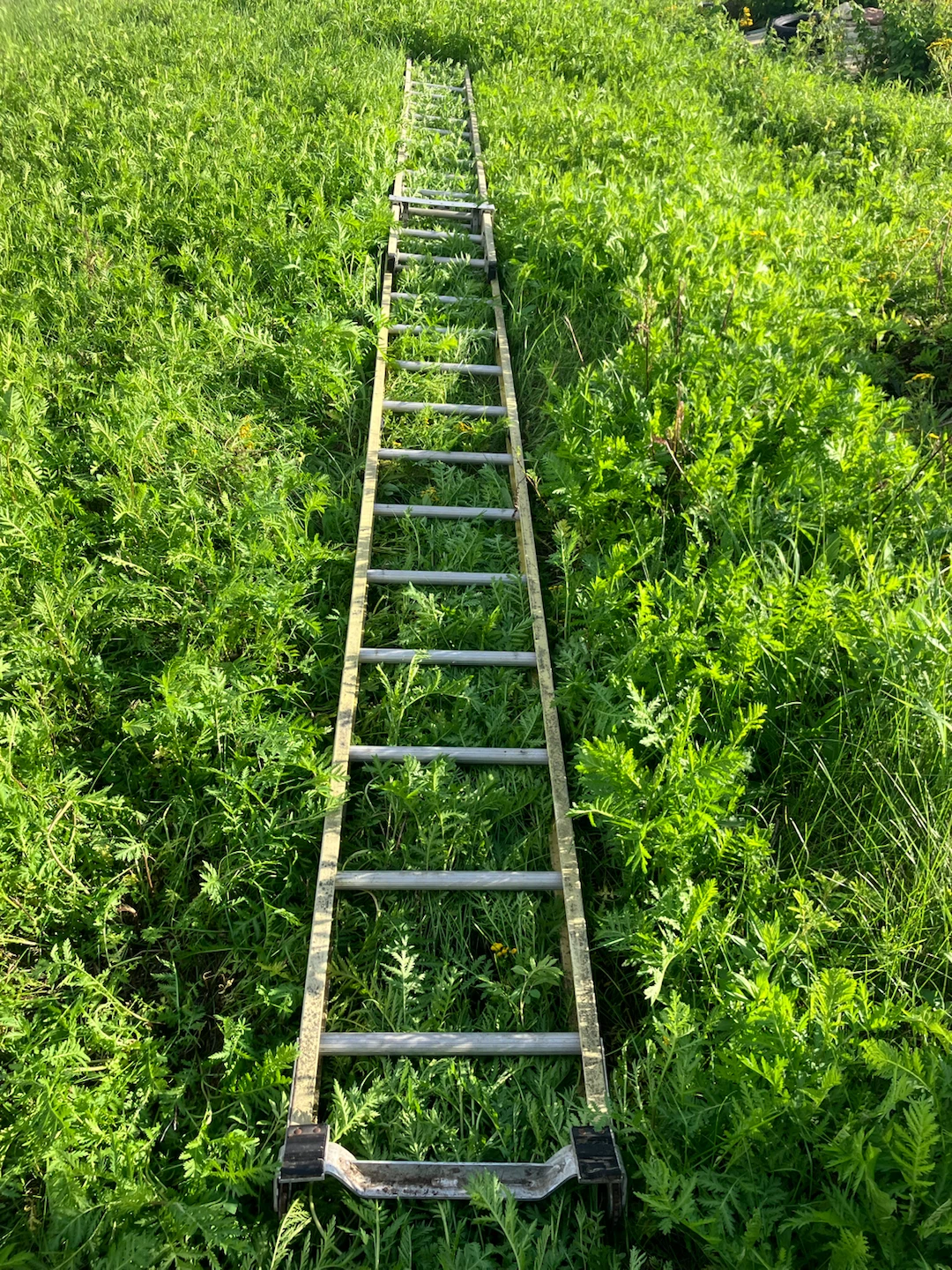 25ft Fiberglass Featherlite Extending Ladder - photo 2