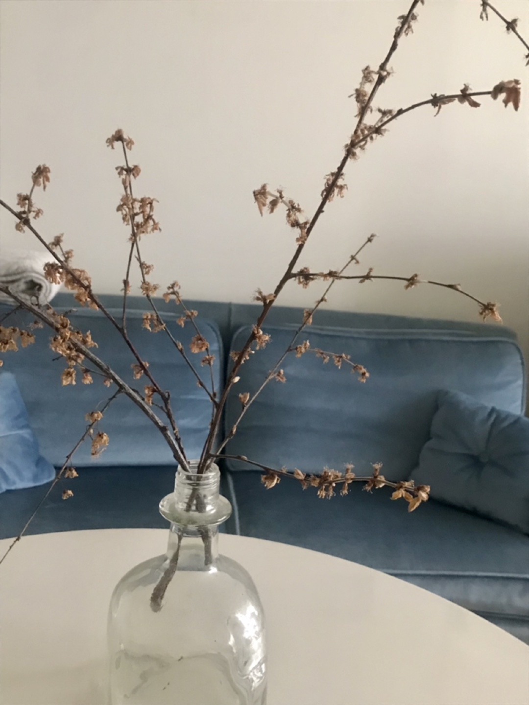 Gorgeous Cherry Blossom Branches-Dried Flowers in Vase - photo 2