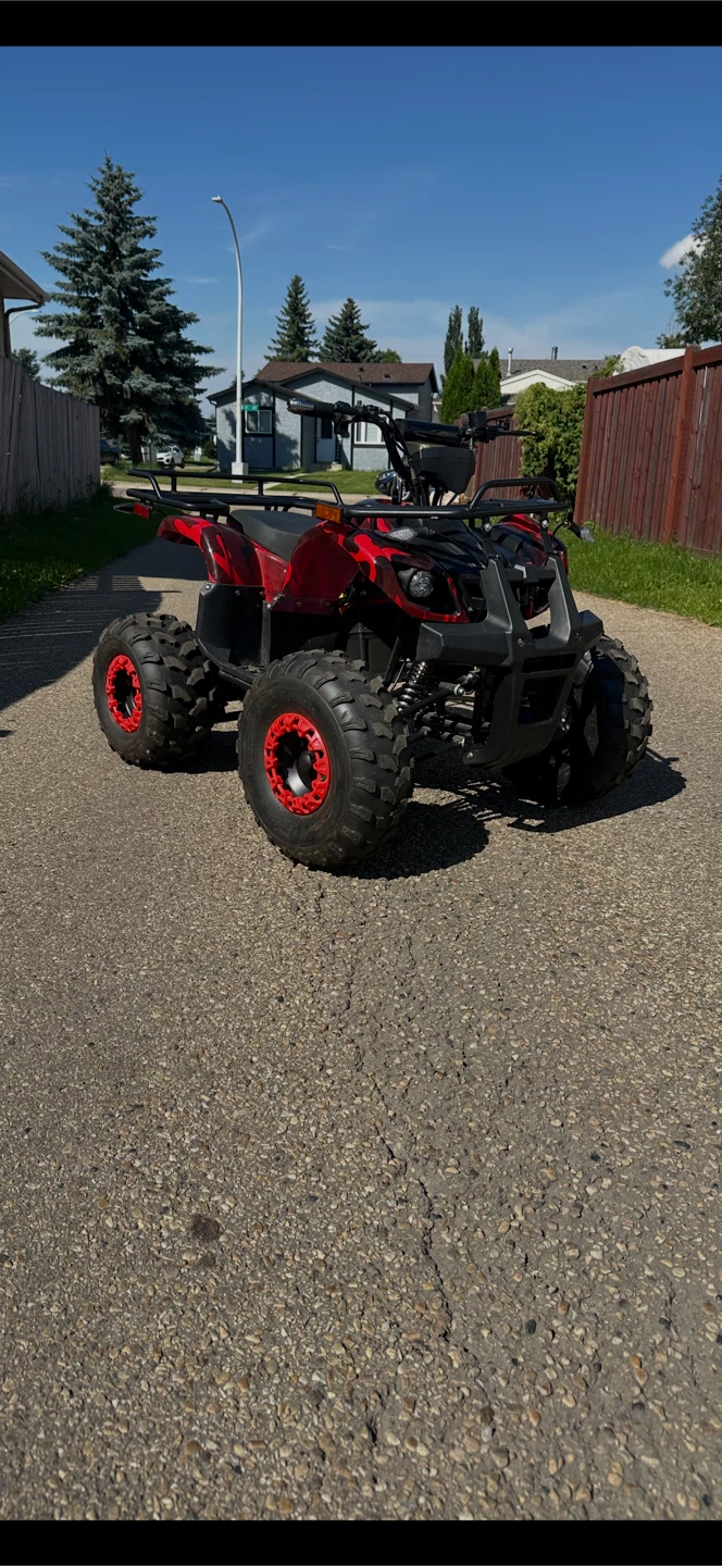Electric quad - photo 2