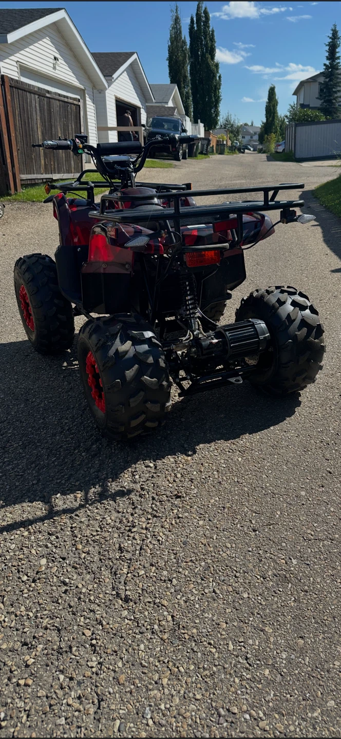 Electric quad - photo 3