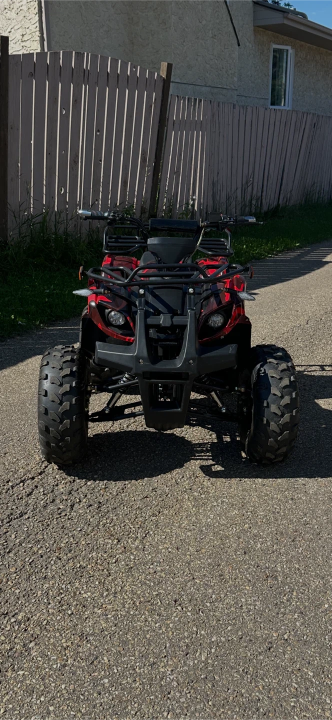 Electric quad - photo 4