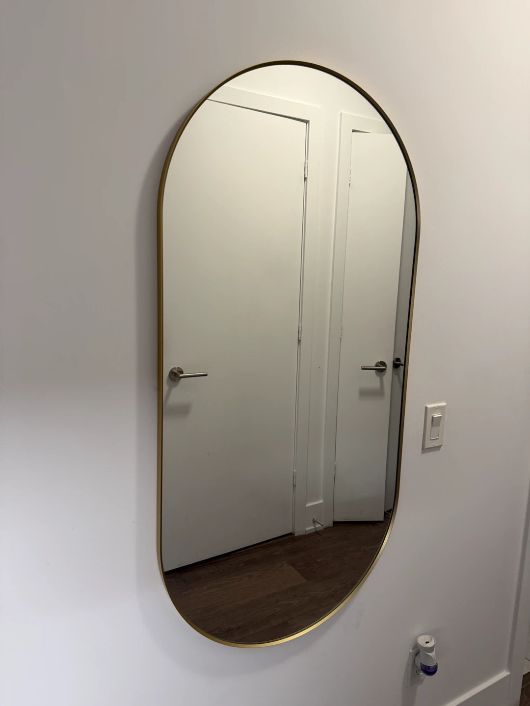 Modern Oval Mirror with Gold Frame