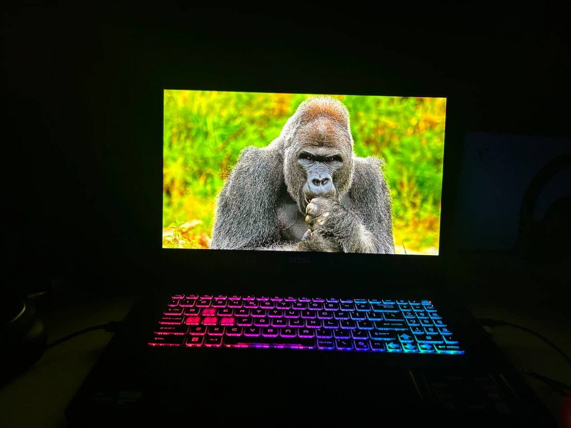 MSI Katana 17 GAMING LAPTOP RTX 5060 32 GB DDR5 RAM - photo 4