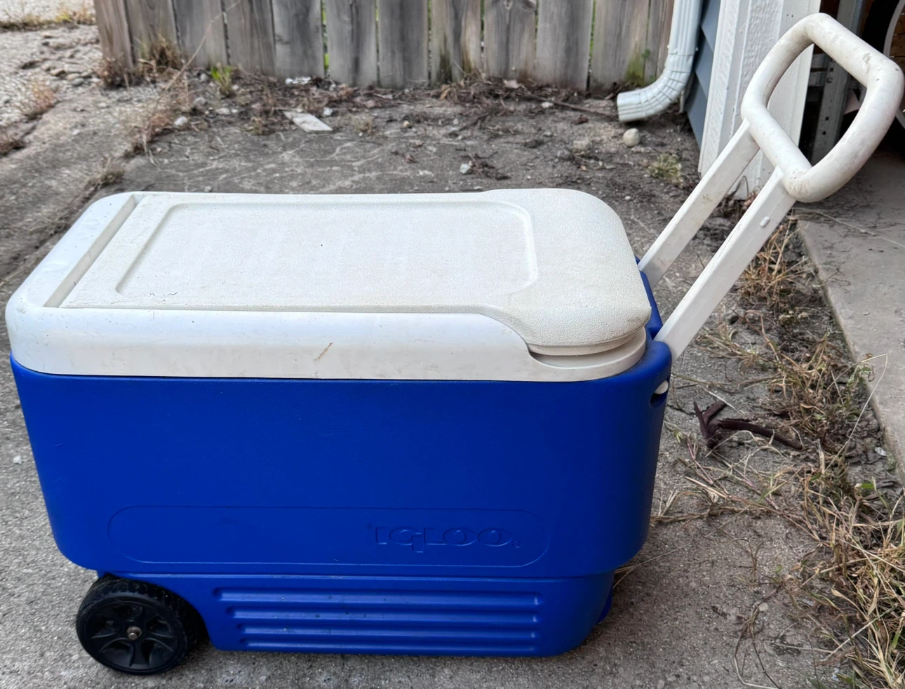Igloo Cooler with Wheels