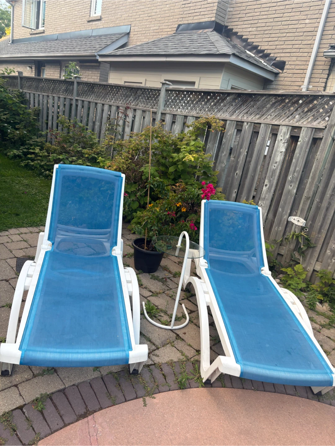 Blue Chaise Lounge Chairs (Set of 2)