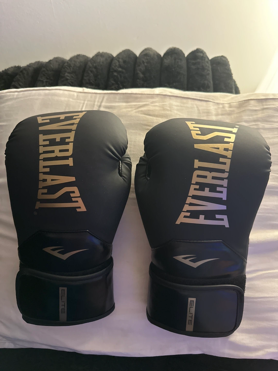 Everlast Elite 12 oz Boxing Gloves