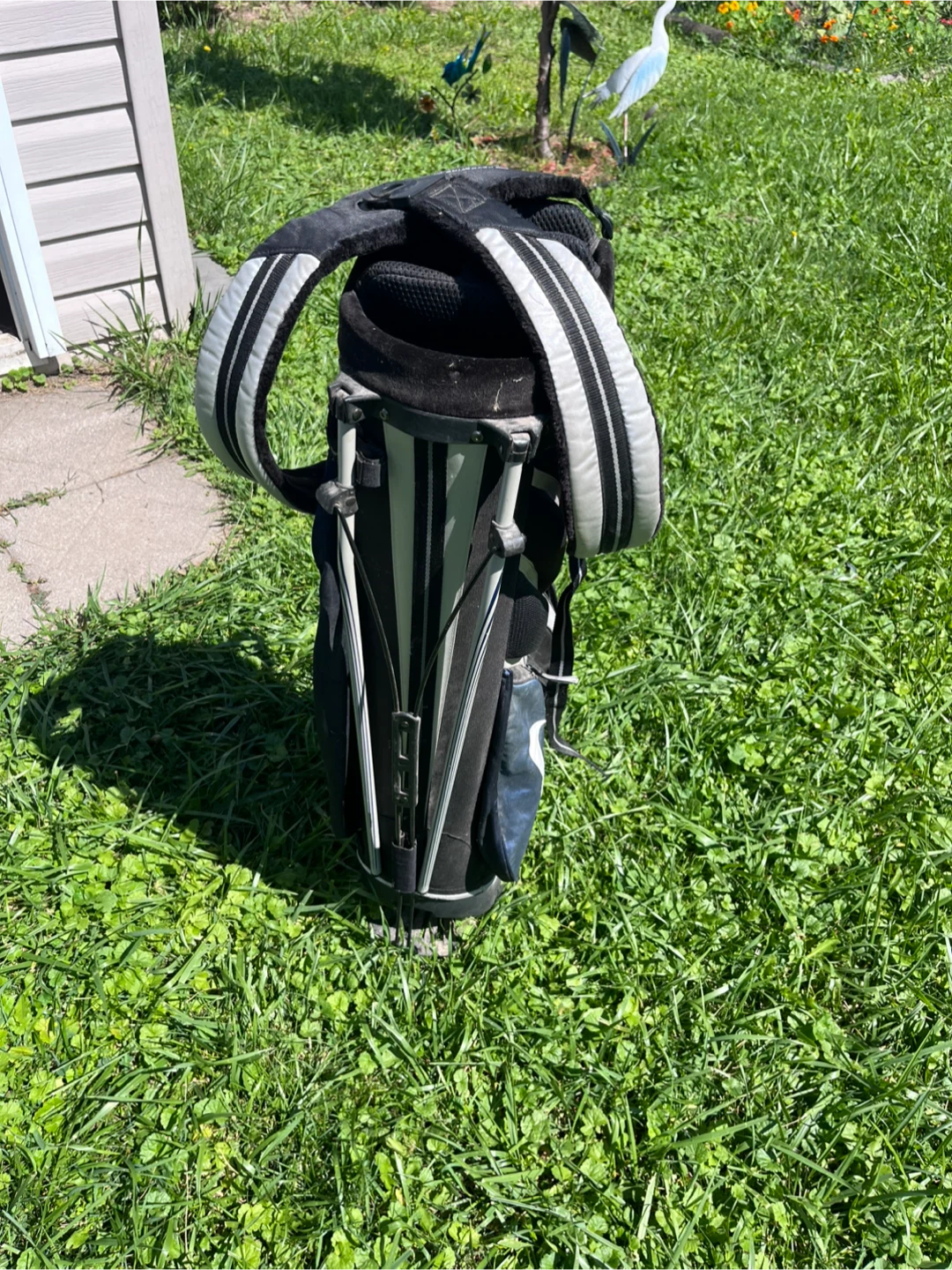 Nike Golf Bag
