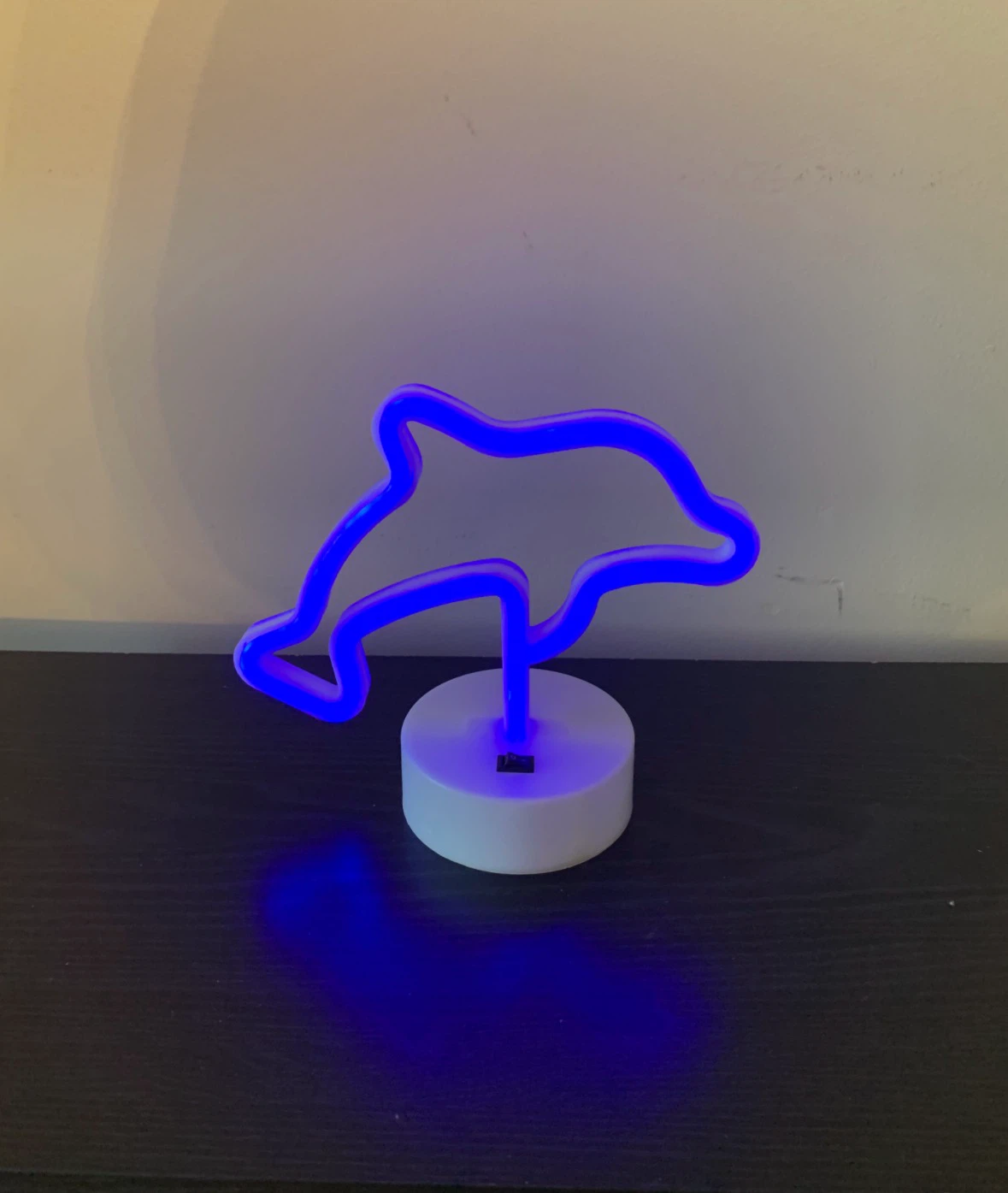 5 Neon Sign Lights - photo 3