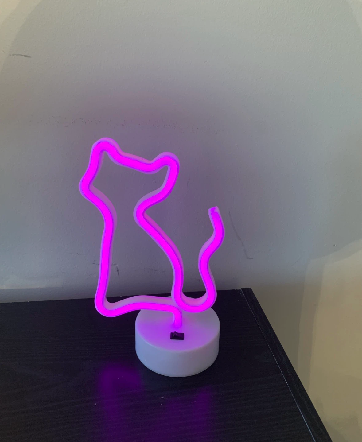 5 Neon Sign Lights - photo 4