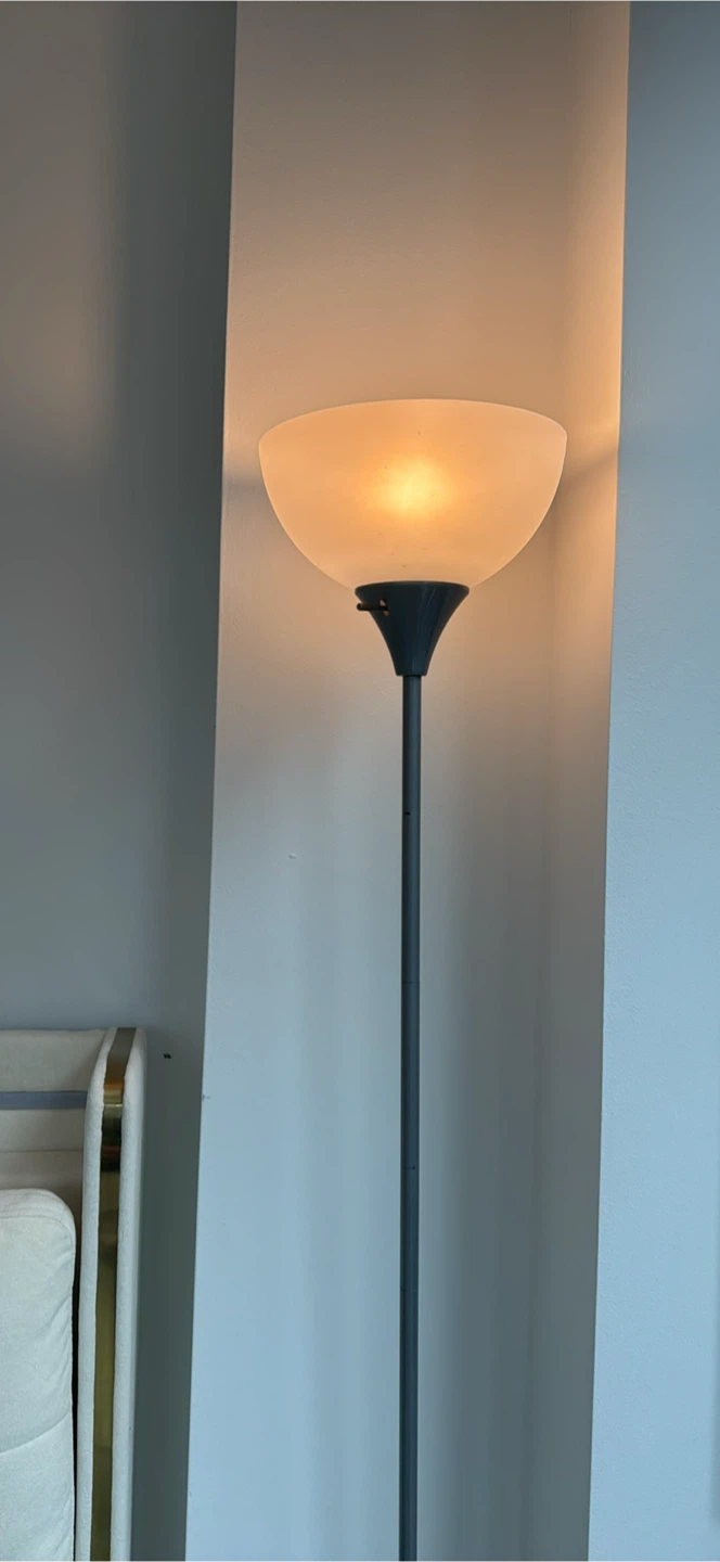 Black Floor Lamp with Frosted Shade 2 pcs