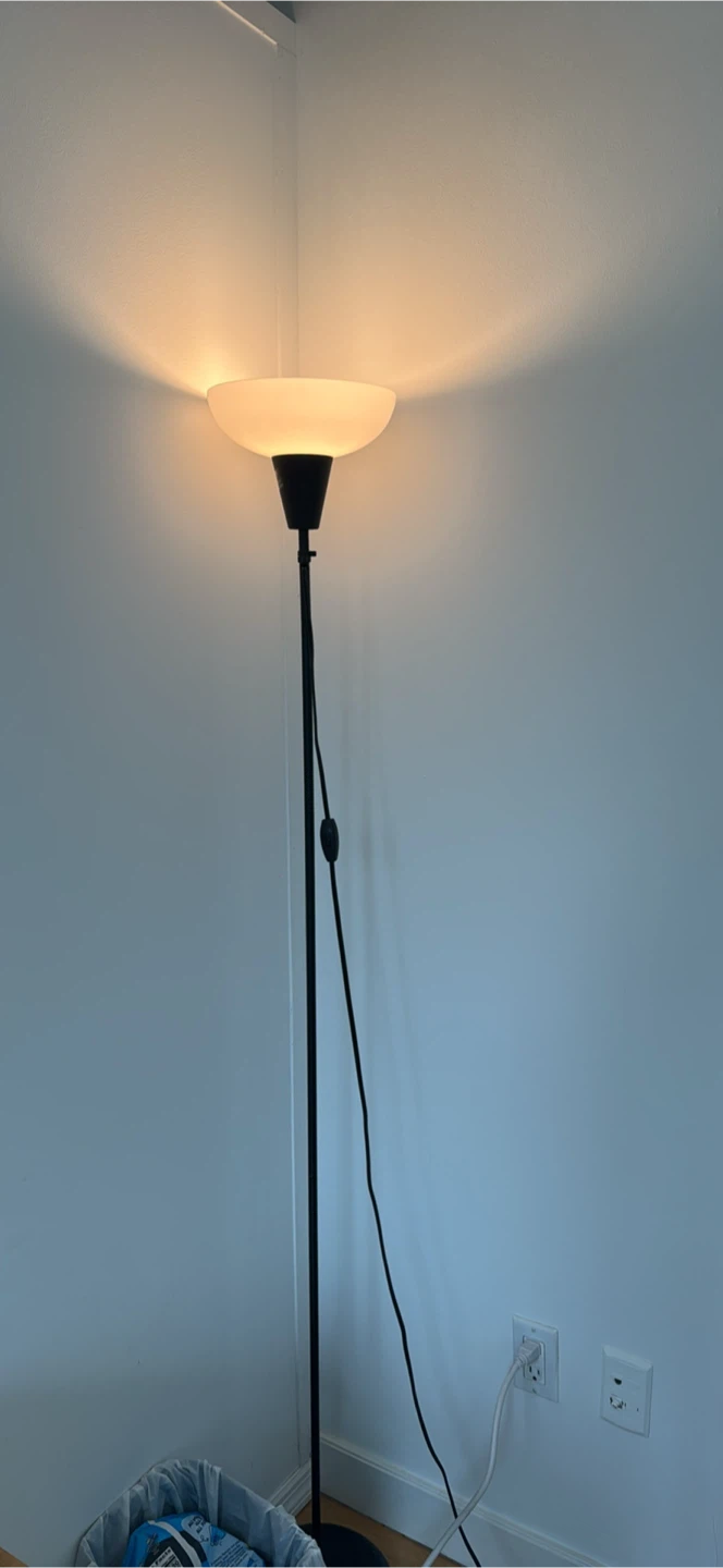 Black Floor Lamp with Frosted Shade 2 pcs - photo 2