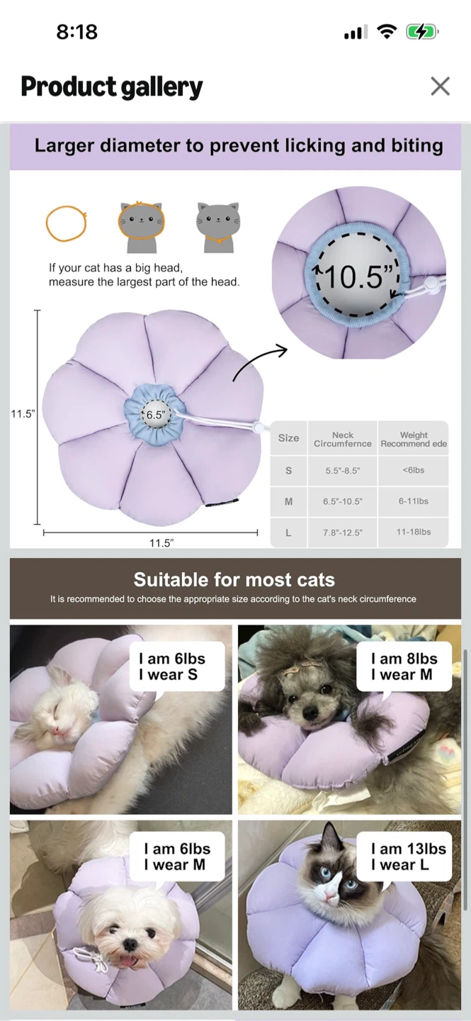 New-HiDream Flower Pet Recovery Collar - Lavender