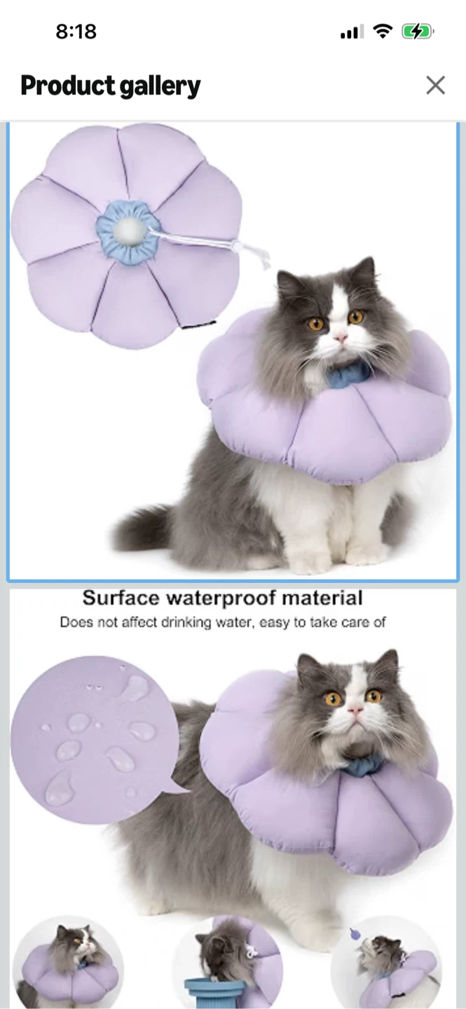 New-HiDream Flower Pet Recovery Collar - Lavender - photo 3