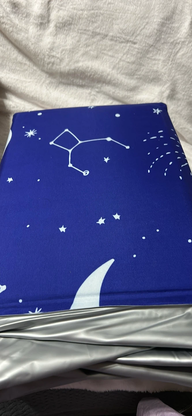 New-Blue Star Dog Litter Box with High Walls - photo 5