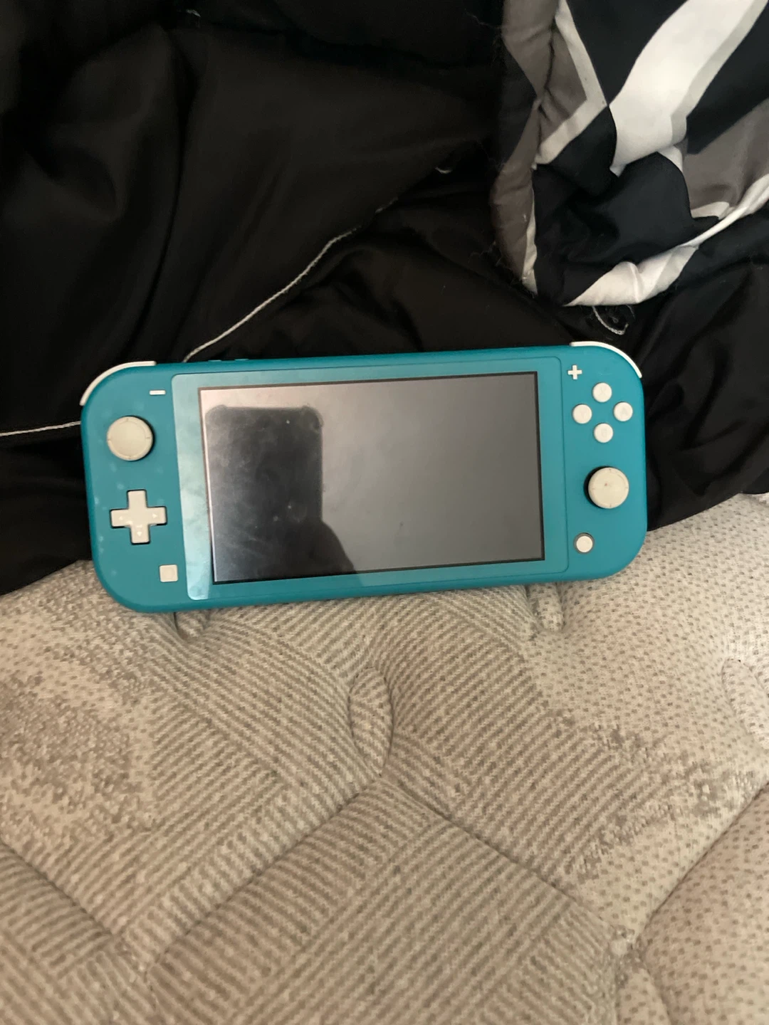 Nintendo Switch Lite - photo 3