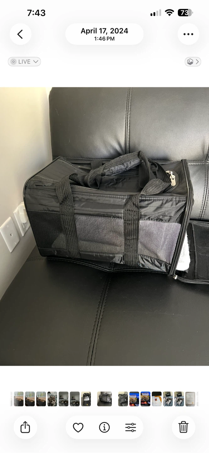 Cat water dispenser & cat carry bag - photo 2