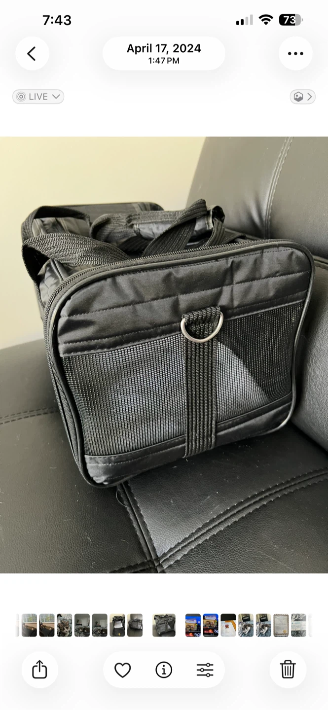 Cat water dispenser & cat carry bag - photo 3