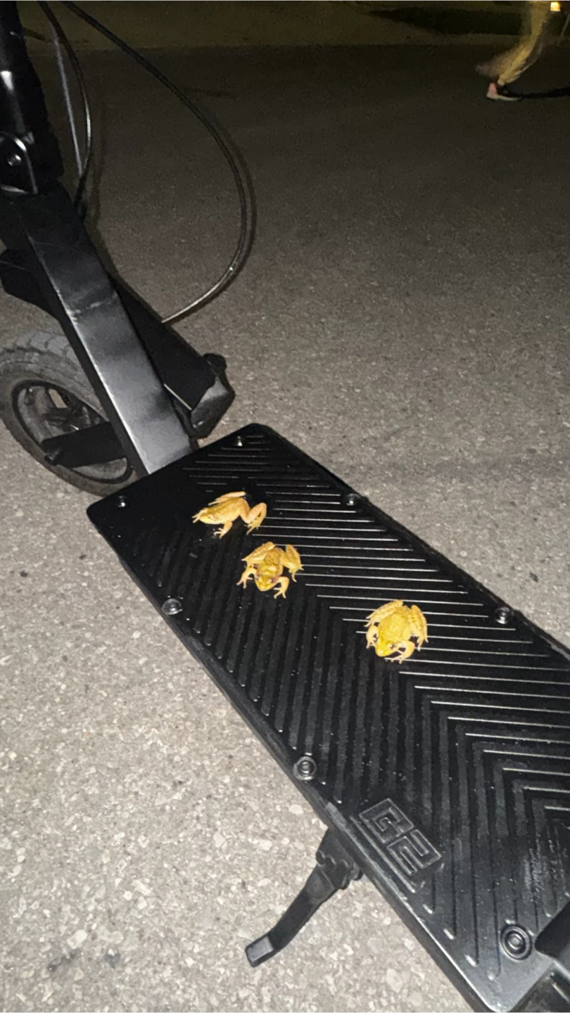 LOOKING FOR E-BIKE/EMOTO - photo 2