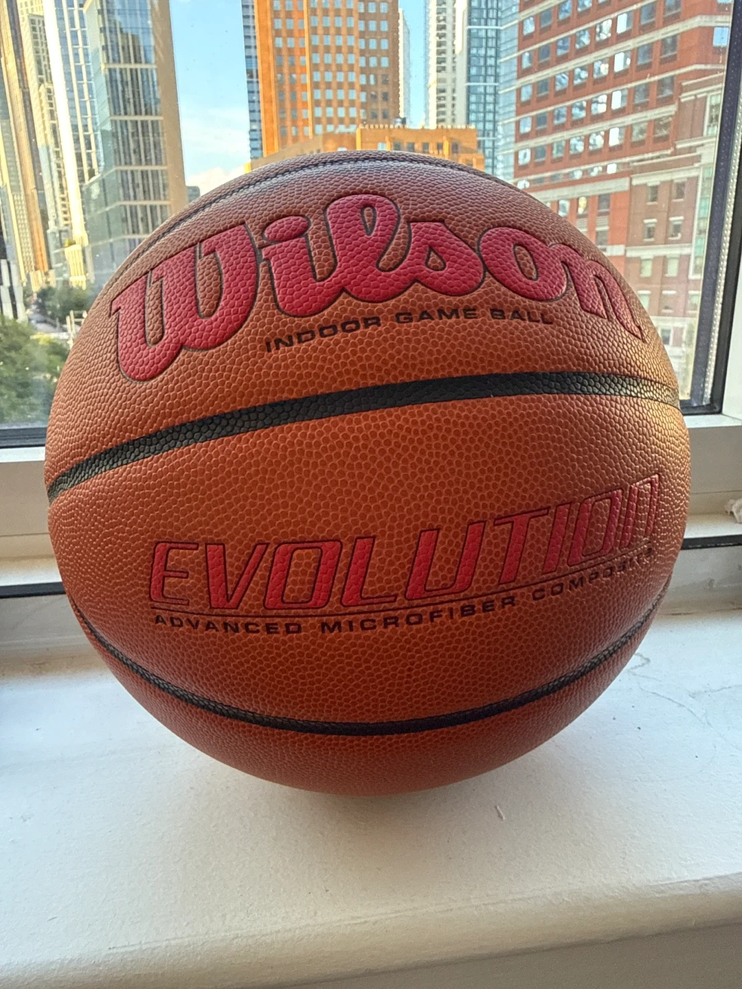 Wilson Evolution Indoor Game Basketball