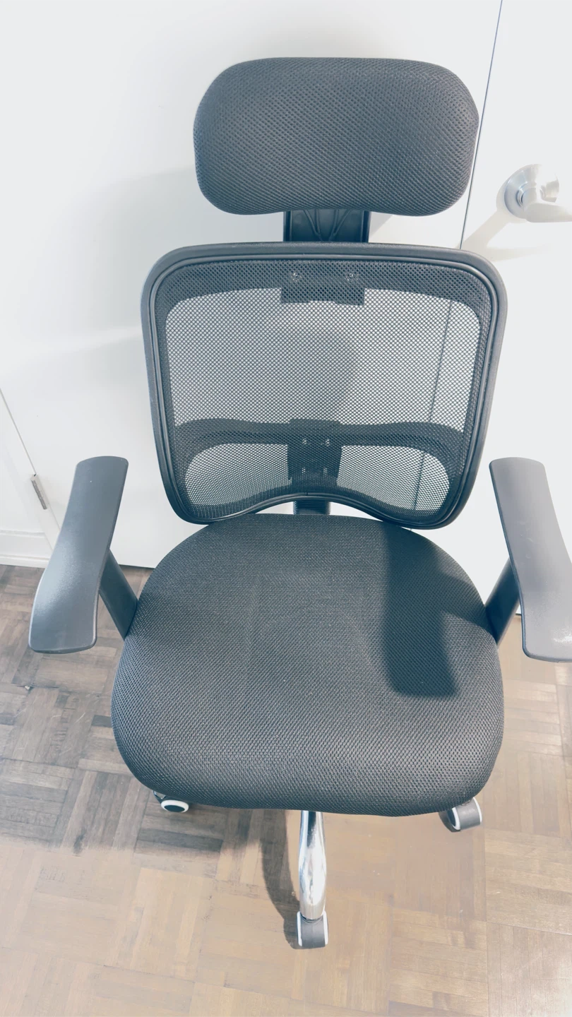 Wayfair Ergonomic Mesh Office Chair with Headrest