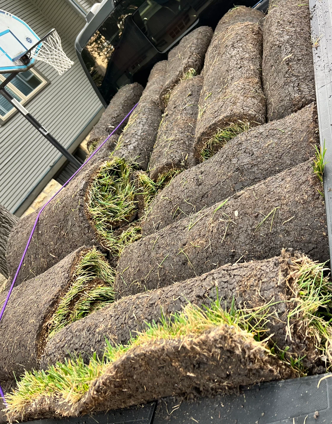 Fresh Sod Rolls - Ready for Your Lawn 9 Left